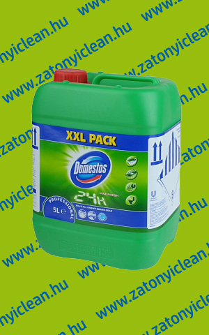Domestos 5 liter